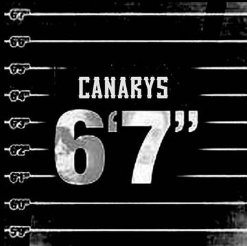 OurStage 6 Foot 7 Foot by Canarys
